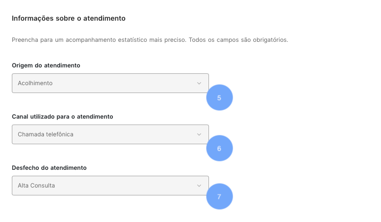 Tela de visualização de atendimento